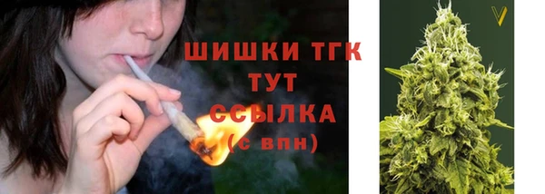 дживик Верхний Тагил
