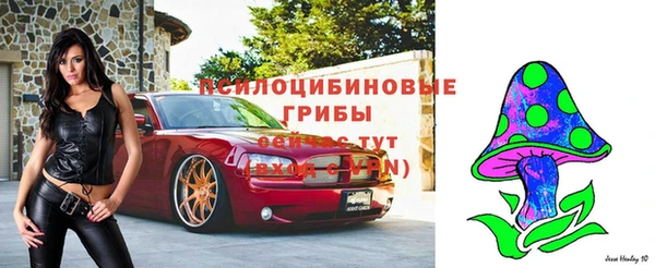 первитин Володарск